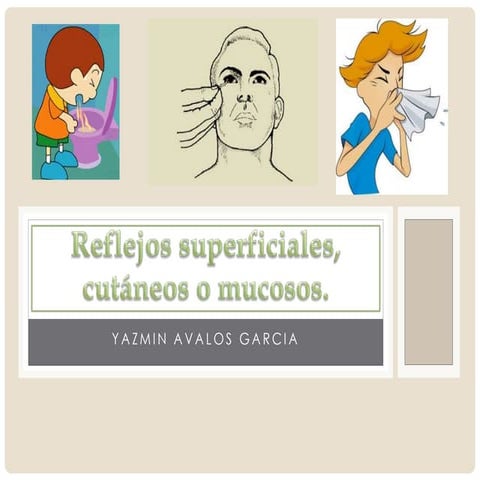 Reflejos | PPT