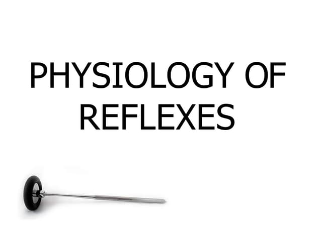 Reflexes Ppt Pptx Reflexes Ppt Pptx