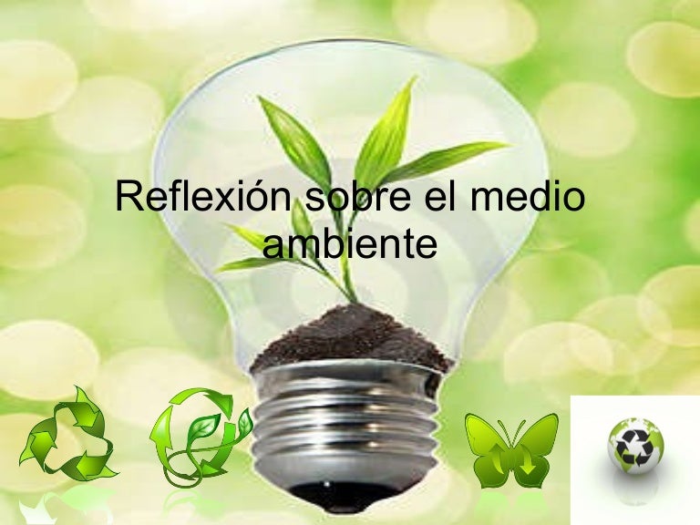 Reflexión sobre el medio ambiente