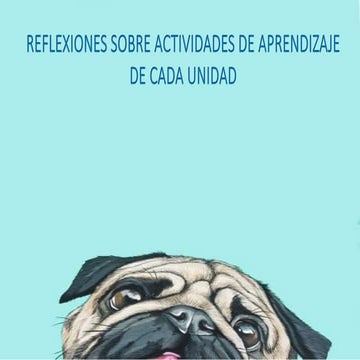 Reflexiones sobre actividades