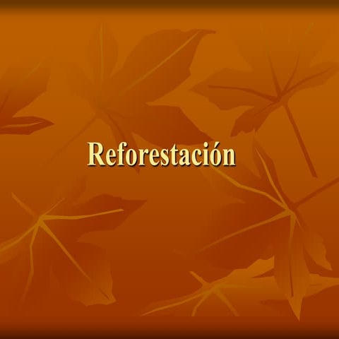Reforestación