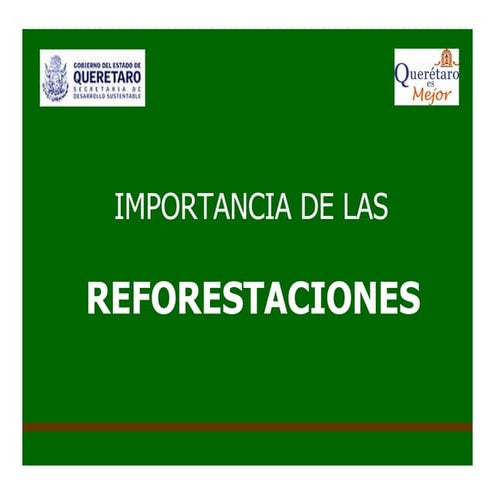 Proyecto de Participación Estudiantil