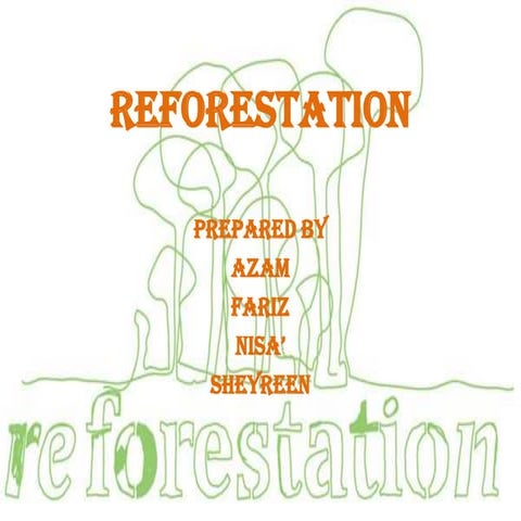 Reforestation