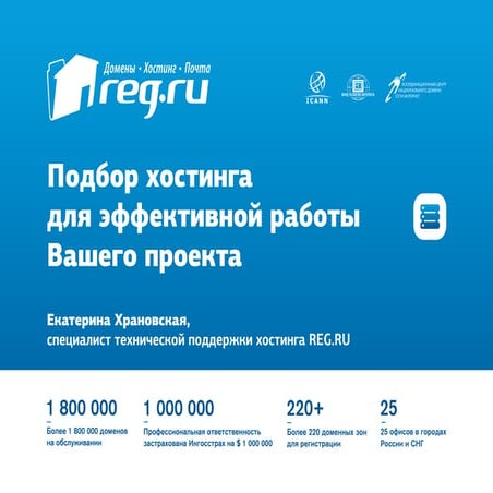 Подбор хостинга для эффективной работы (Reg.ru)