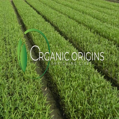 REGENERATIVE AGRICULTURE & SOLUTIONS.pptx