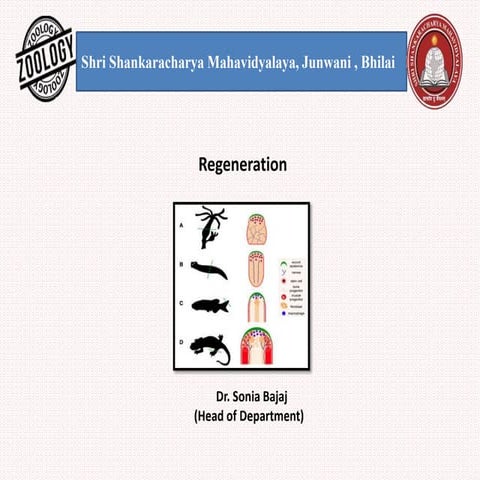 Regeneration, Types of Regeneration,Invertebrates&Vertebrates sp. ,Mechanism,...