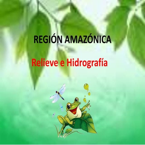 REGIÓN AMAZÓNICA ECOSISTEMAS