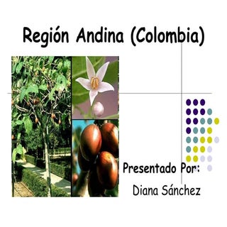 Región andina (colombia)