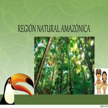 Región natural amazónica
