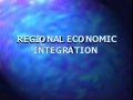 Terms and concepts for regional integration