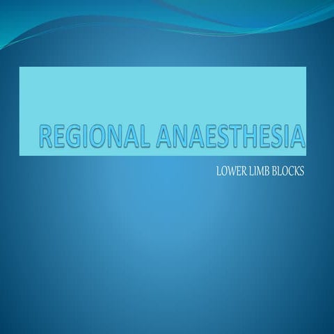 Regional anaesthesia lower limb blocks