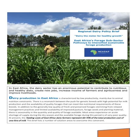 Regional dairy policy brief: East Africa's forage sub-sector. Pathways to int...