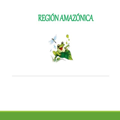 REGION AMAZONICA 