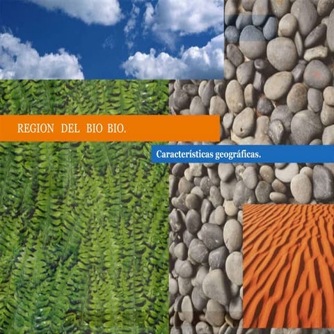 Region Bio Bio | PPT