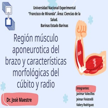 Region del brazo.pptxtrhgfhgfhfghfghfhfhfghf