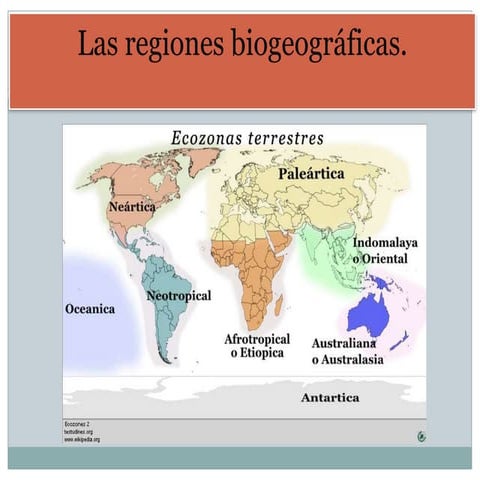 Regiones Biogeograficas De Mexico | PPT