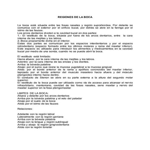 Regiones de la boca