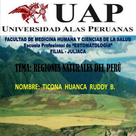 Regiones Naturales del peru