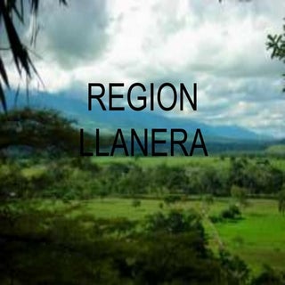 Region llanera