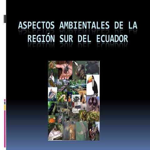 Region Sur Del Ecuador