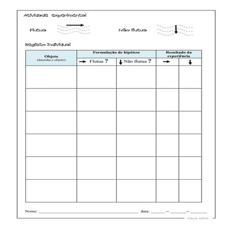 Registo atividade experimental flutua