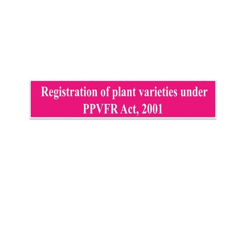 DUS Test Guidelines for Maize | PPTX