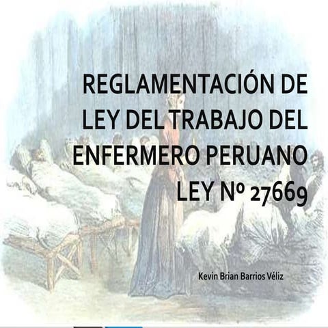 Reglamentación de ley del trabajo del enfermero peruano