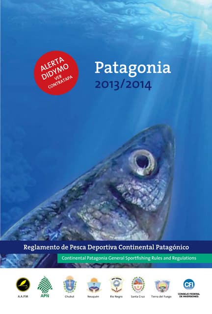 Reglamento Patagonia 2013-2014