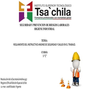 Reglamento del instructivo andino de seguridad y salud en el trabajo | PPTX