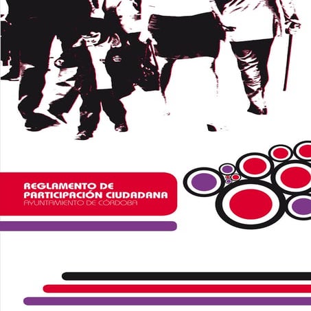 Reglamento De Participacion Ciudadana