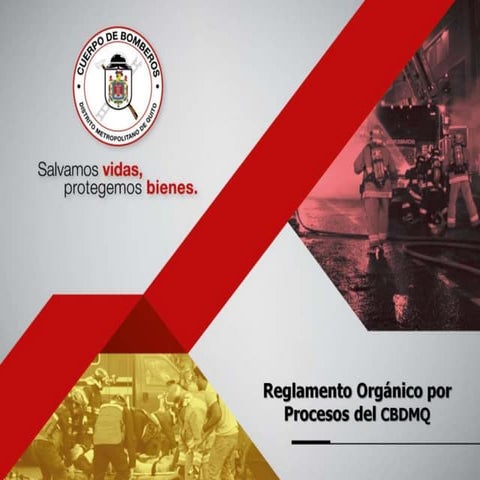 Reglamento Orgánico por Procesos