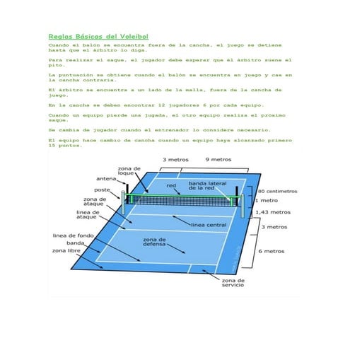 Reglas básicas del voleibol