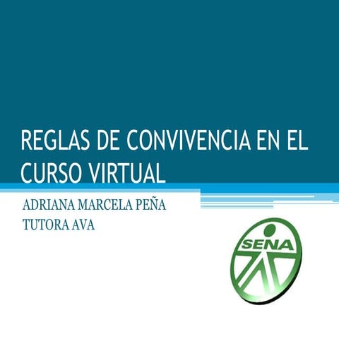 Reglas de netiqueta en el aula virtual | PDF