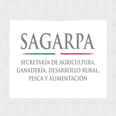 PROGRAMAS SAGARPA 2015