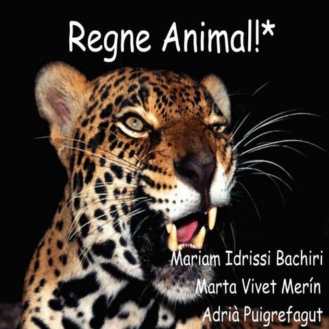Regne animal 