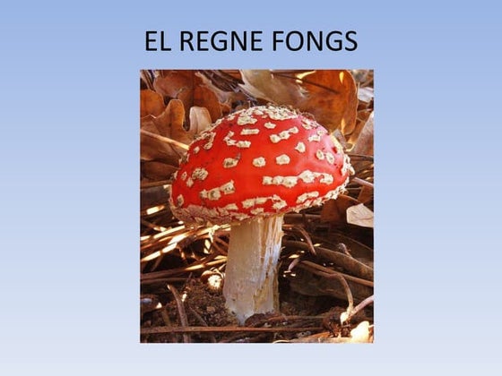 Fongs microscopics | PDF
