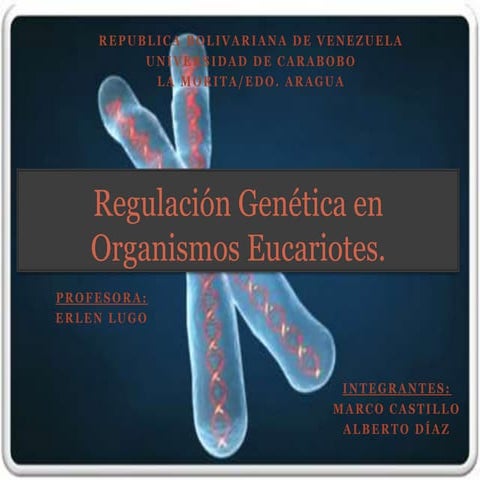 Regulación Postranscripcional y traduccional.