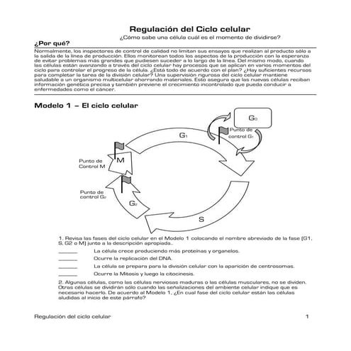 Regulación del ciclo celular. Guía para tercero medio, biología, Plan difere...