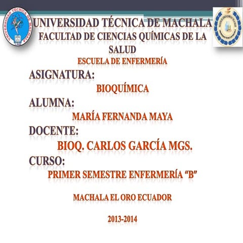 Regulacion del equilibrio acido (2)