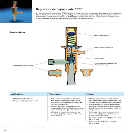 Reguladordecapacidade
