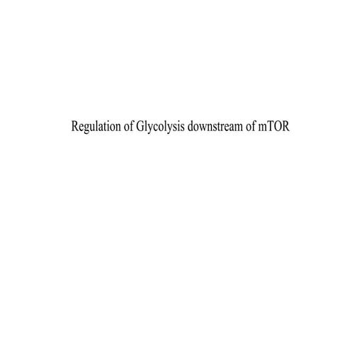 Regulation of Glycolysis downstream of mTOR