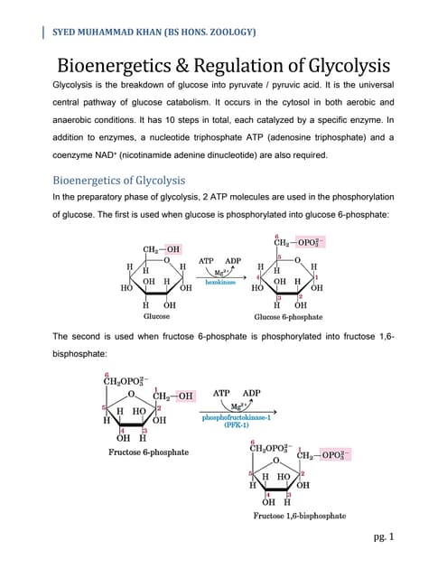 Bioenergetics & Regulation of Glycolysis
