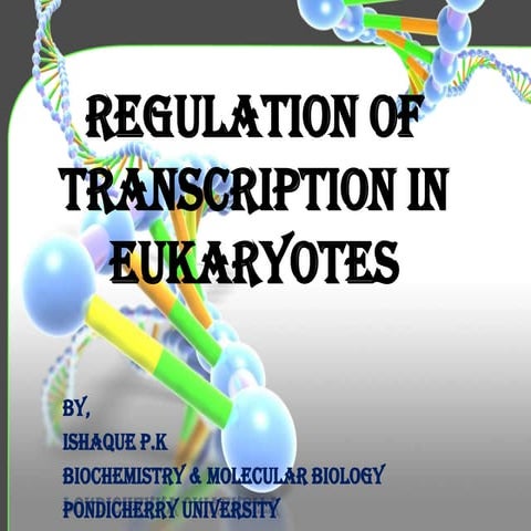 Transcription Regulation in Eukaryotes