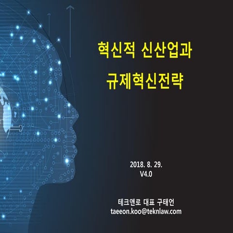 [TEK] 혁신적 신산업과 규제혁신전략 (구태언)