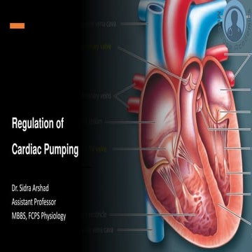 Cardiovascular Physiology - Regulation of Cardiac Pumping