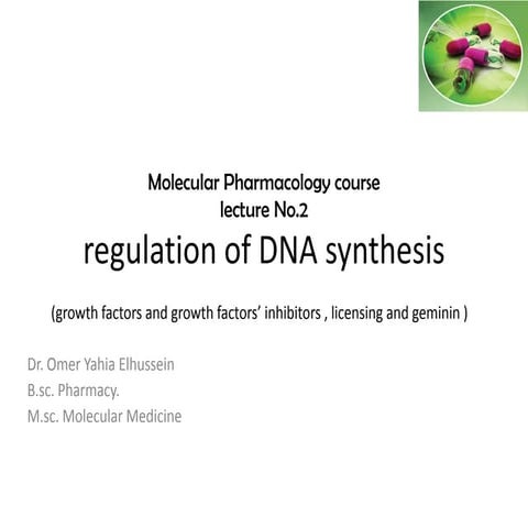 Regulation of DNA synthesis 