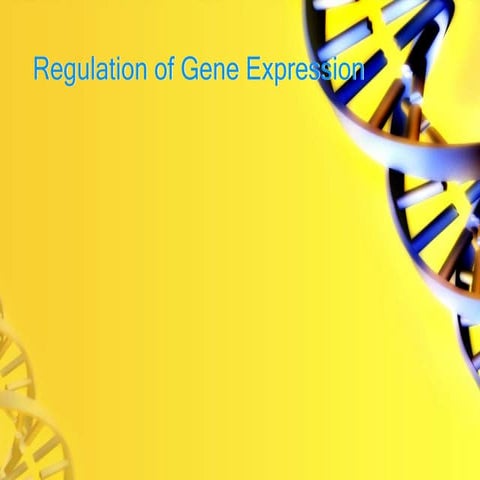 Regulation of gene expression and genetics.ppt