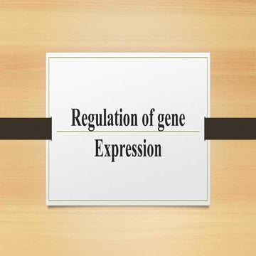 Regulation of gene Expression.pdf....... | PPT