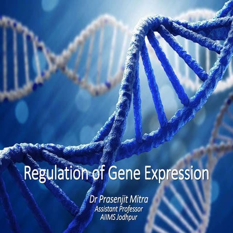 Regulation of Gene Expression | PPTX