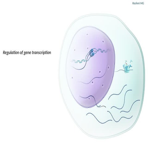 Regulation of gene transcription in prokaryotes and eukaryotes.pptx